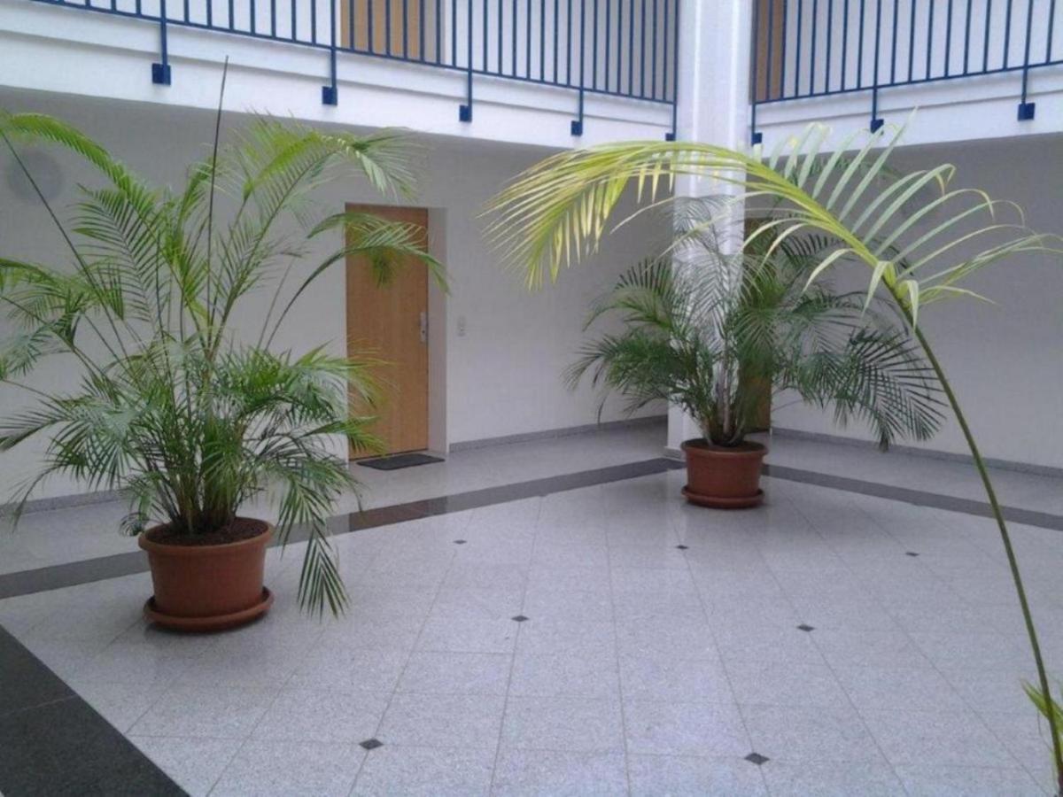 Residenz Am Strand Wohnung 2-43 ツィングシュト エクステリア 写真